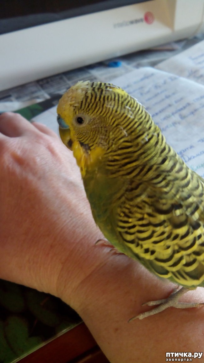 ���� 4: ������ �������