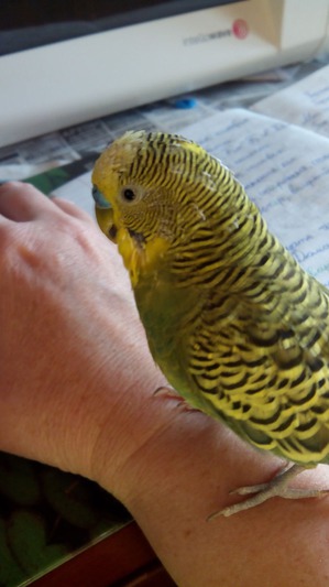 ����: ������ �������