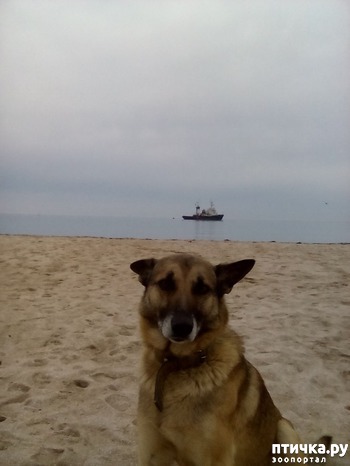 ����: ������� - ���� �������. ��� ��� - �������, �� ����������, ��������� � �������.