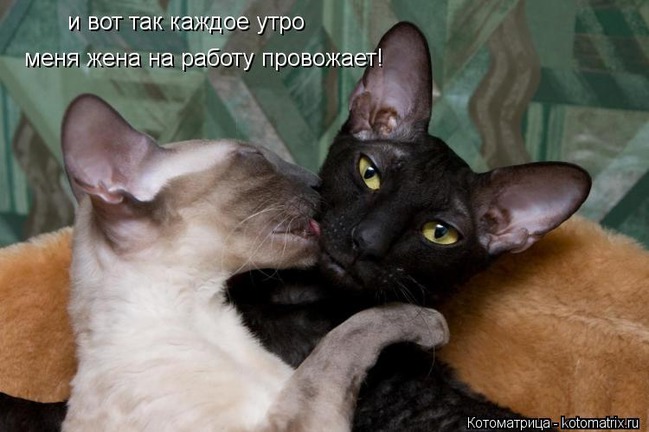 ���� 1: �����������: ���� � ������� ������� ������, � ���� - � � ��������!!!