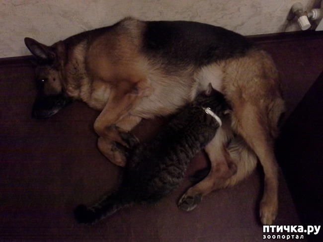 ���� 1: ��� ����� � �������. ������