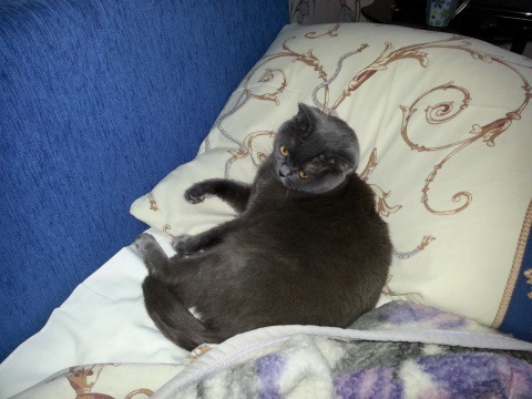 ���� 6: �����������: ���� � ������� ������� ������, � ���� - � � ��������!!!