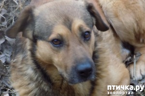 ����: �� ��������!