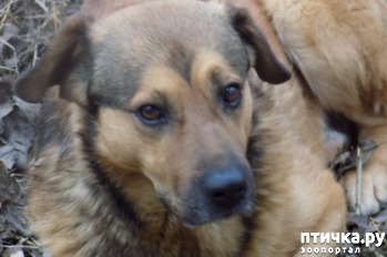 ����: �� ��������!