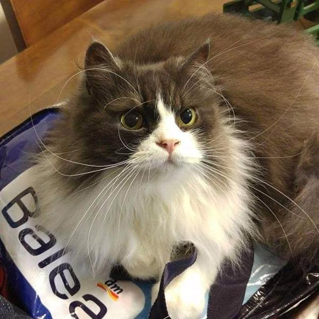 ���� 8: �����������: ���� � ������� ������� ������, � ���� - � � ��������!!!