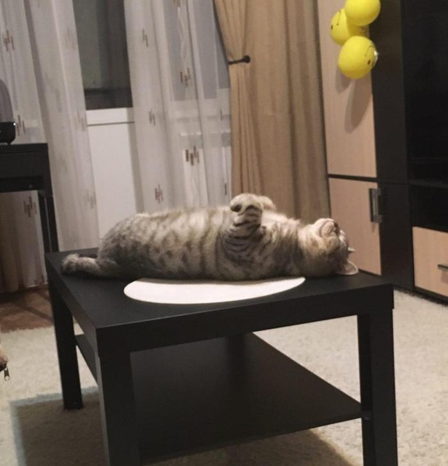 ���� 10: �����������: ���� � ������� ������� ������, � ���� - � � ��������!!!