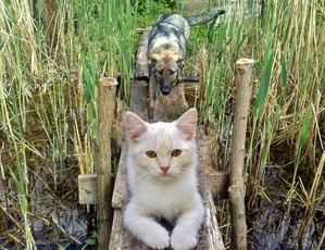 ����: ������ �� ����... ������ �� �����...