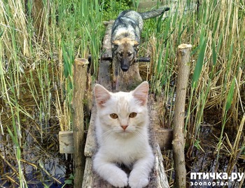 ����: ������ �� ����... ������ �� �����...