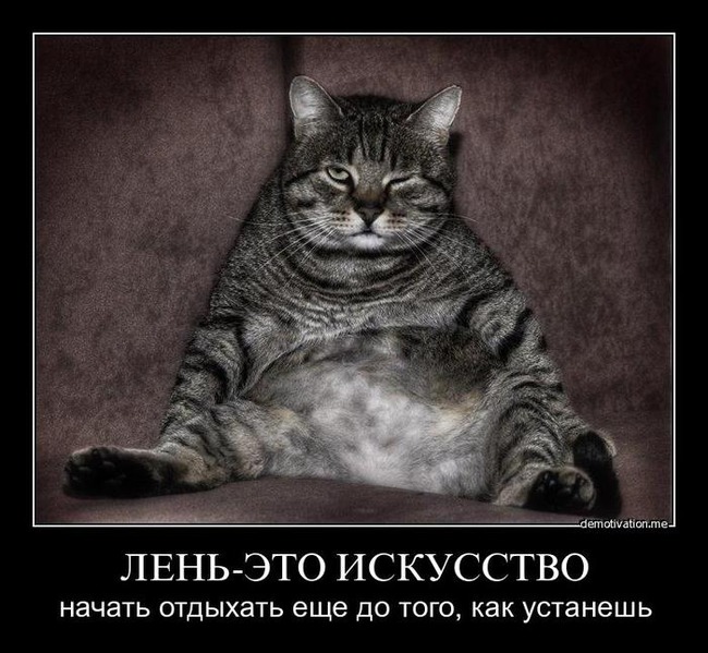 ���� 13: �����������: ���� � ������� ������� ������, � ���� - � � ��������!!!