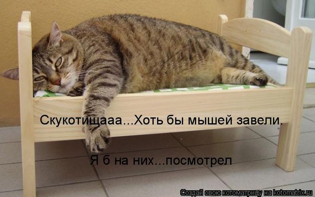 ���� 14: �����������: ���� � ������� ������� ������, � ���� - � � ��������!!!