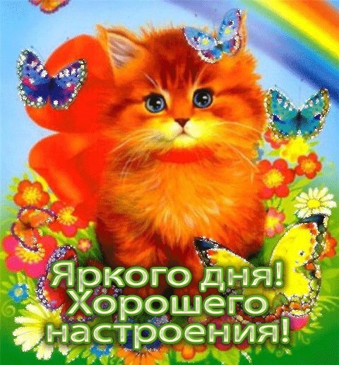 ���� 15: �����������: ���� � ������� ������� ������, � ���� - � � ��������!!!