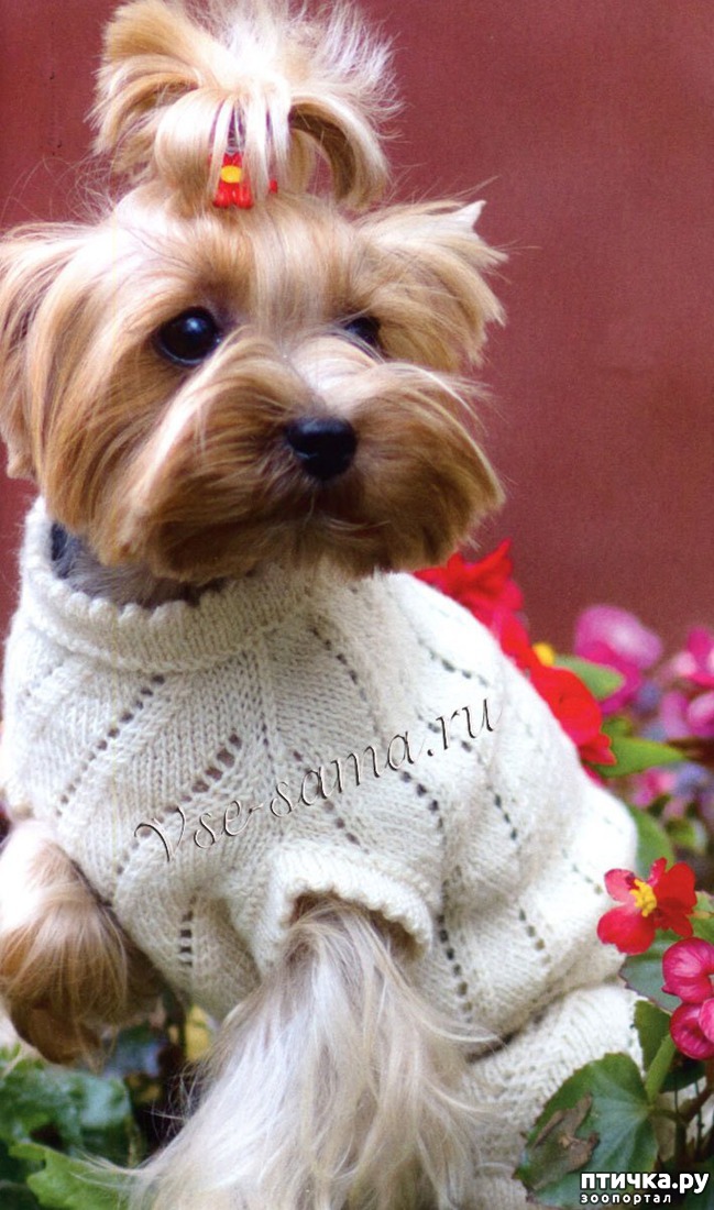 ���� 1: ������ ������� � ������� �������)))