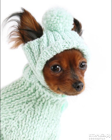 ���� 2: ������ ������� � ������� �������)))