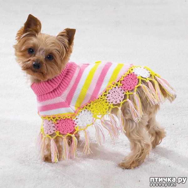 ���� 3: ������ ������� � ������� �������)))