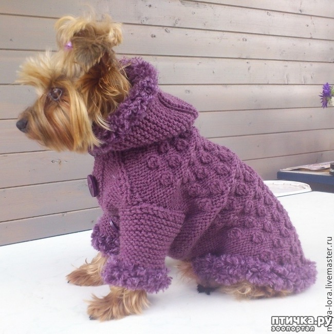 ���� 4: ������ ������� � ������� �������)))