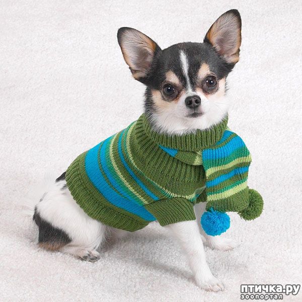 ���� 7: ������ ������� � ������� �������)))