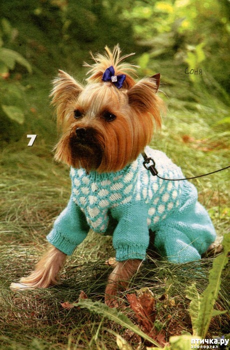 ���� 9: ������ ������� � ������� �������)))