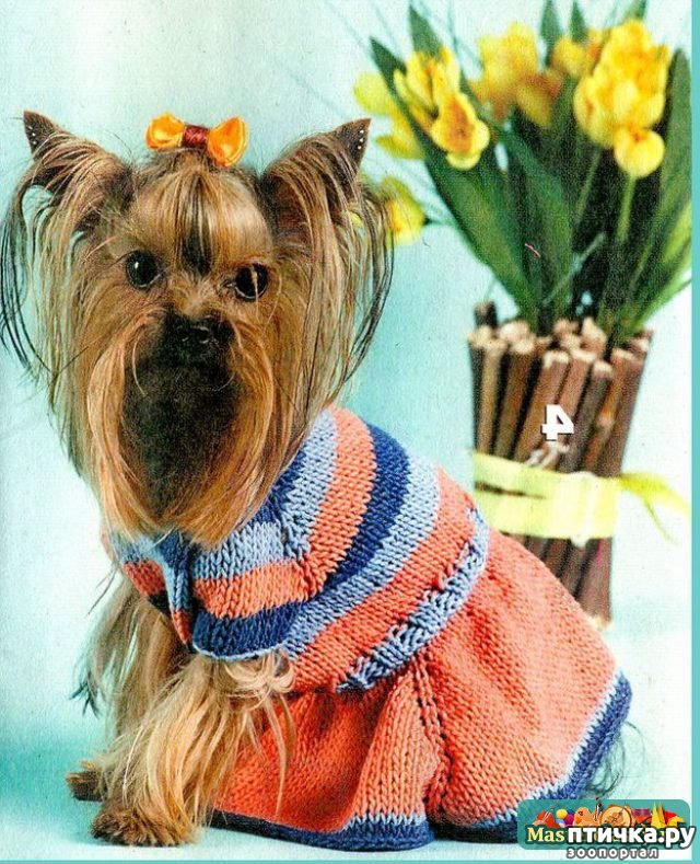 ���� 10: ������ ������� � ������� �������)))