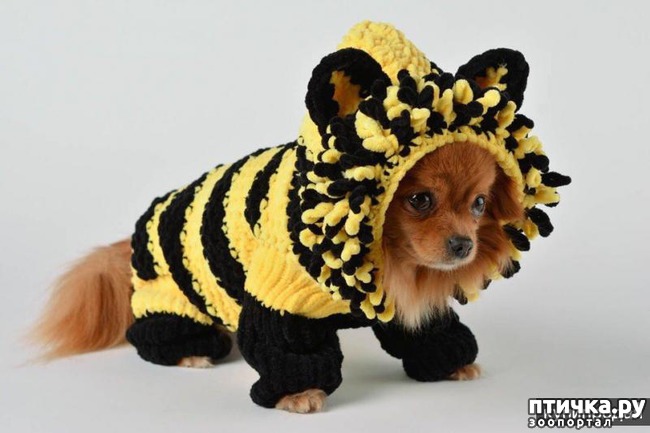 ���� 11: ������ ������� � ������� �������)))