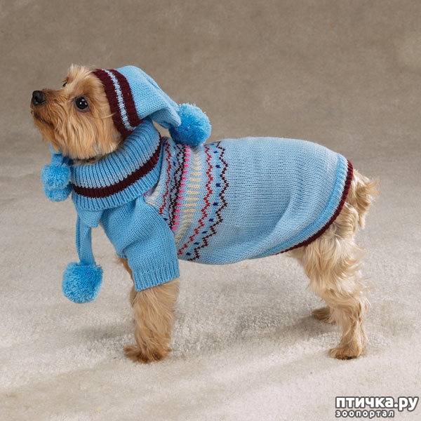 ���� 12: ������ ������� � ������� �������)))