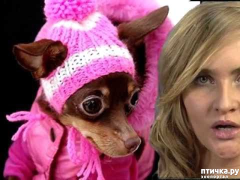 ���� 13: ������ ������� � ������� �������)))