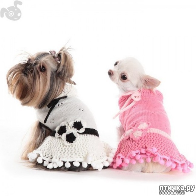 ���� 14: ������ ������� � ������� �������)))