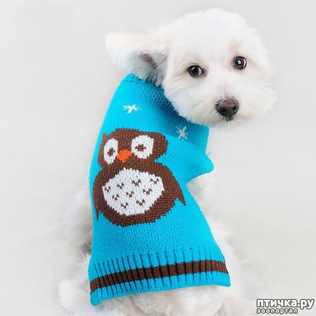 ���� 15: ������ ������� � ������� �������)))