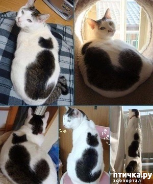 ����: ��������� ��� �� ��� ������ (���� � �����)