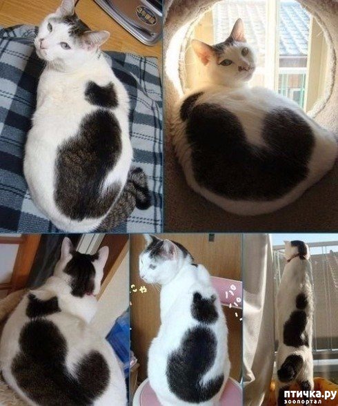 ���� 1: ��������� ��� �� ��� ������ (���� � �����)