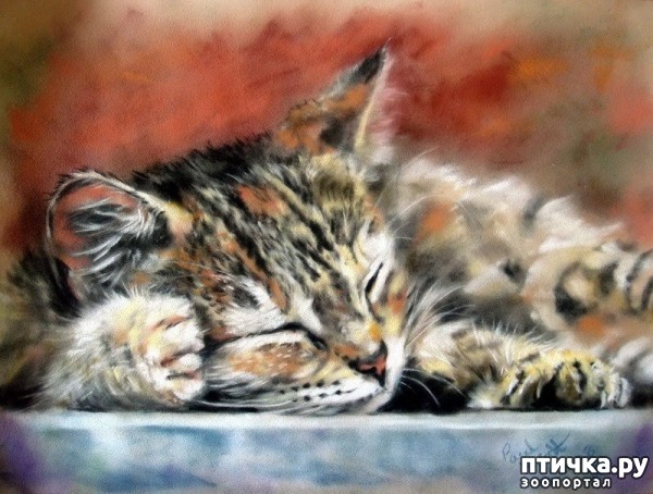 ���� 1: �������������� ���� ����������� ��������� ���� �����