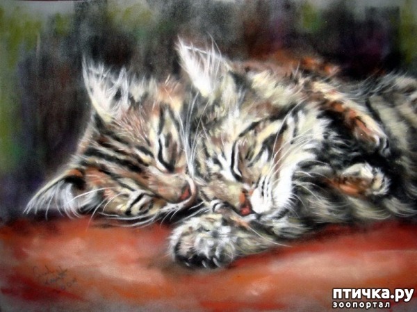 ���� 3: �������������� ���� ����������� ��������� ���� �����