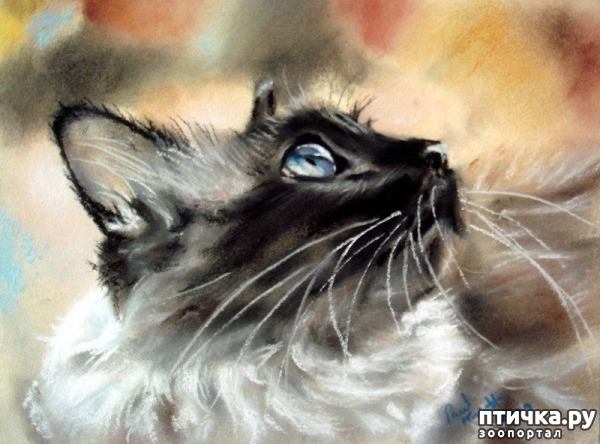 ���� 4: �������������� ���� ����������� ��������� ���� �����