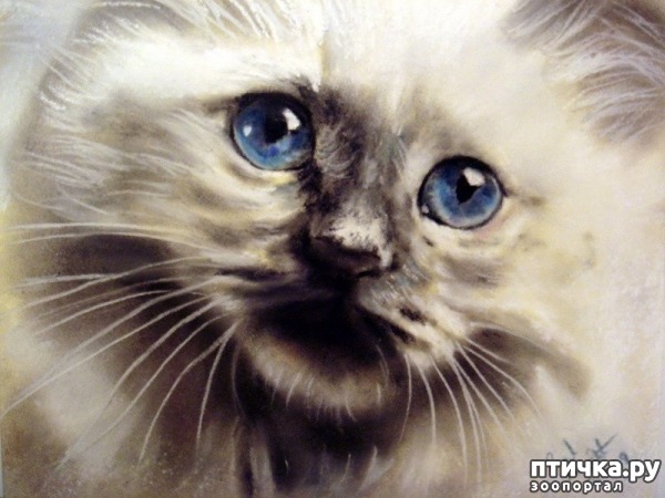 ���� 5: �������������� ���� ����������� ��������� ���� �����