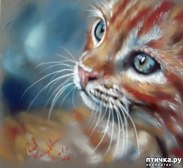 ���� 8: �������������� ���� ����������� ��������� ���� �����