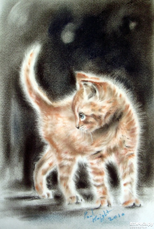 ���� 9: �������������� ���� ����������� ��������� ���� �����