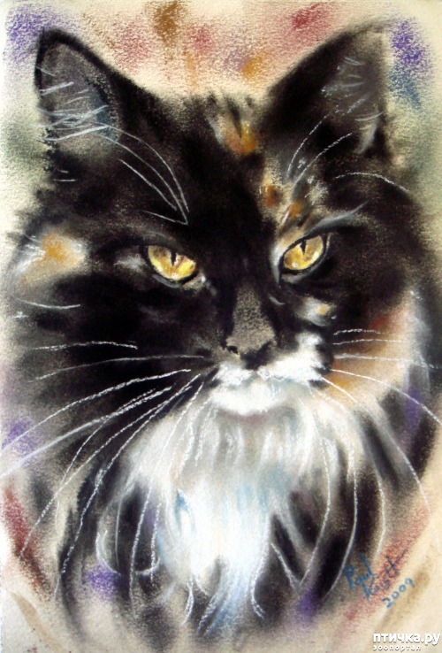 ���� 10: �������������� ���� ����������� ��������� ���� �����