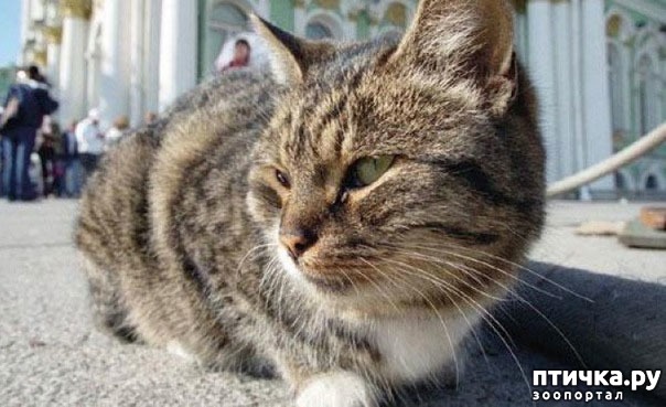 ���� 1: ���� ��������