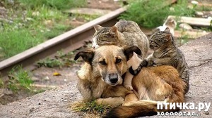 ����: �� �� ������ � ������ ������