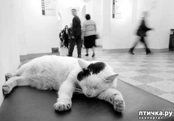 ���� 3: ���� ��������