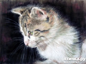 ����: �������������� ���� ����������� ��������� ���� �����