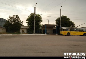 ����: �� ���������