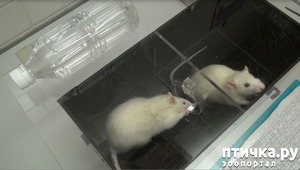 ����: ����� ������ ���������� ��������� ���� �������� �������� ��������