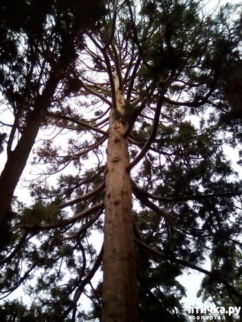 ����: ��������� ������������ ��� � ��� ����������.