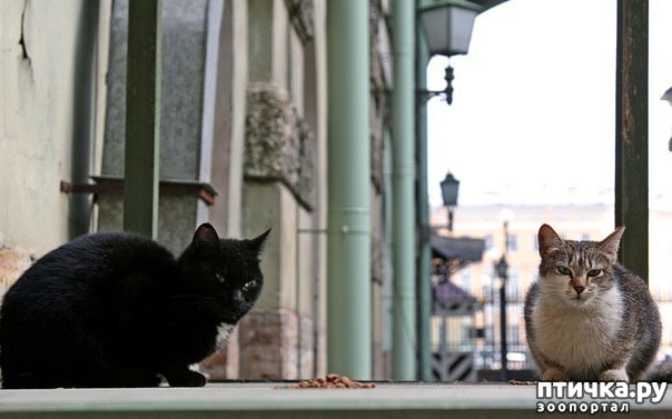 ���� 1: ���� �������� (�����������)