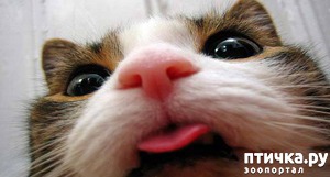 ����: ��� ��� ����� ��������� ���� �����: 8 ��������