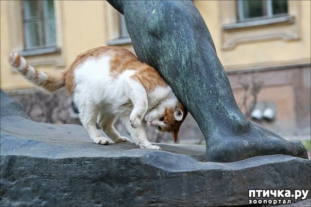 ���� 3: ���� �������� (�����������)