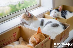 ����: ����� � ��������