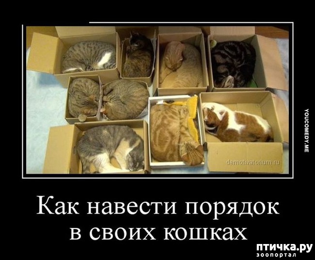 ���� 1: ��� ������� ������� � ������