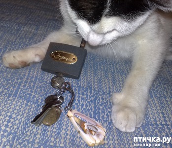 ����: ��, �������, ����� �� �����, ������ ����� - ��� �������