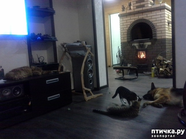 ���� 2: �������� ������, ��� �������)))